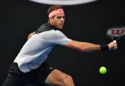 Del Potro csukló