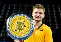 Goffin