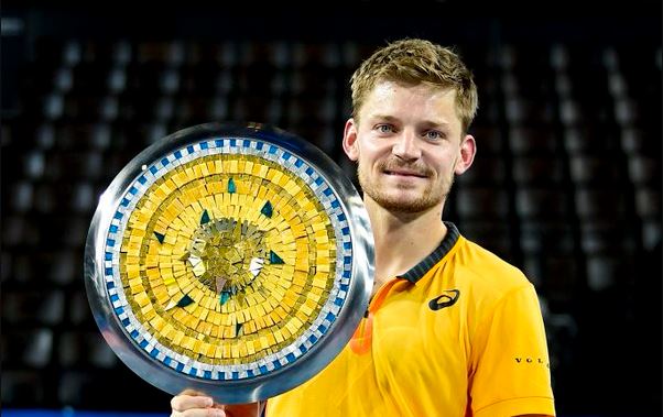 Goffin